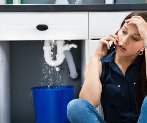About Emergency plumbing pros Lake Mary, FL